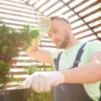 A man sweating and working in a greenhouse.
